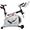 race indoor stationary cycle